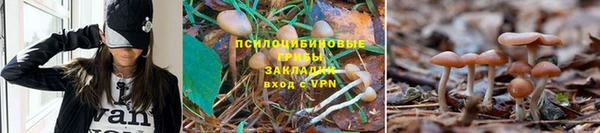 альфа пвп VHQ Алзамай