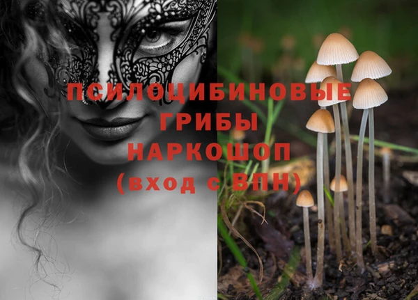 ALPHA PVP Алексин